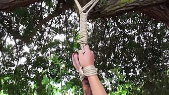 Outdoor Bdsm Scene With Intense Whipping And Stripping